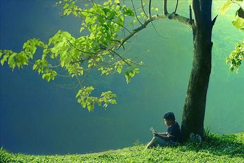 Gửi tới những tâm hồn muốn tìm hiểu Phật pháp để hoàn thiện bản thân