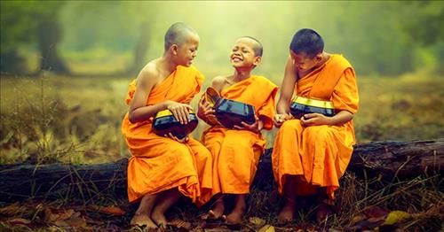 Triết lý sống từ bậc thầy thiền tông Nhật Bản - Dành cho những tâm hồn bắt đầu chiêm nghiệm về cuộc đời