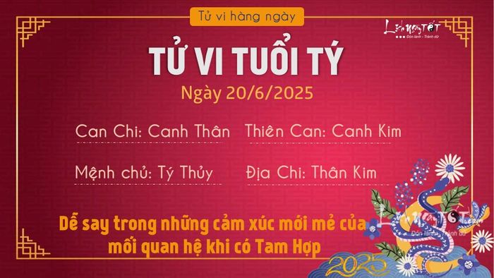 Xem bói hàng ngày 20/6/2025 của 12 con giáp - Tuổi Tý