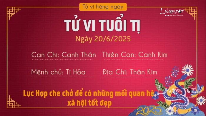 Tử vi hàng ngày 20/6/2025 của 12 con giáp - Tị
