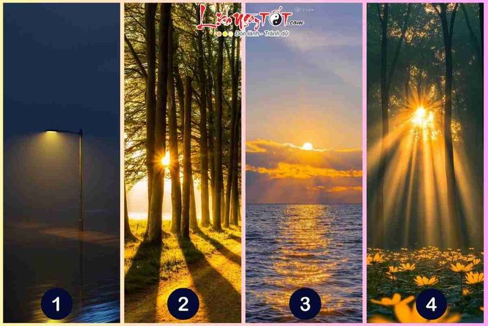 Kiem tra van may 6 thang cuoi nam 2025