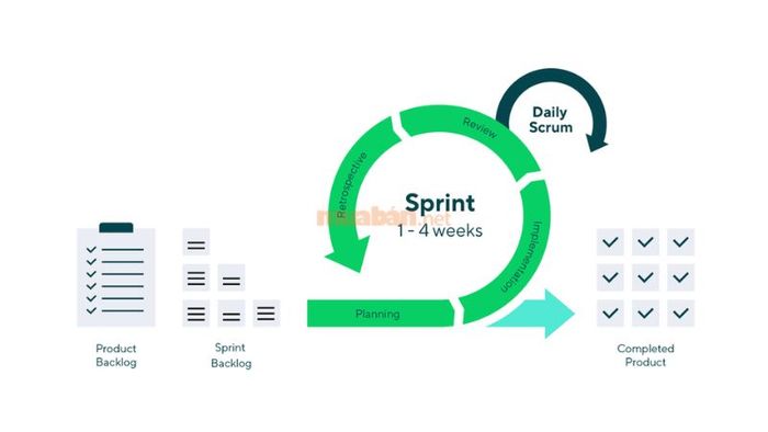 Scrum được xem là phương pháp Agile được ưa chuộng hàng đầu