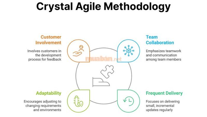 Crystal bao gồm nhiều phương thức phát triển phần mềm linh hoạt theo triết lý Agile