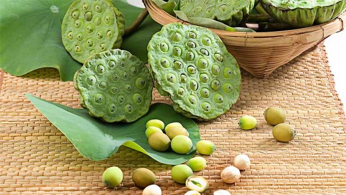 huong-dan-nau-chao-chim-bo-cau-4