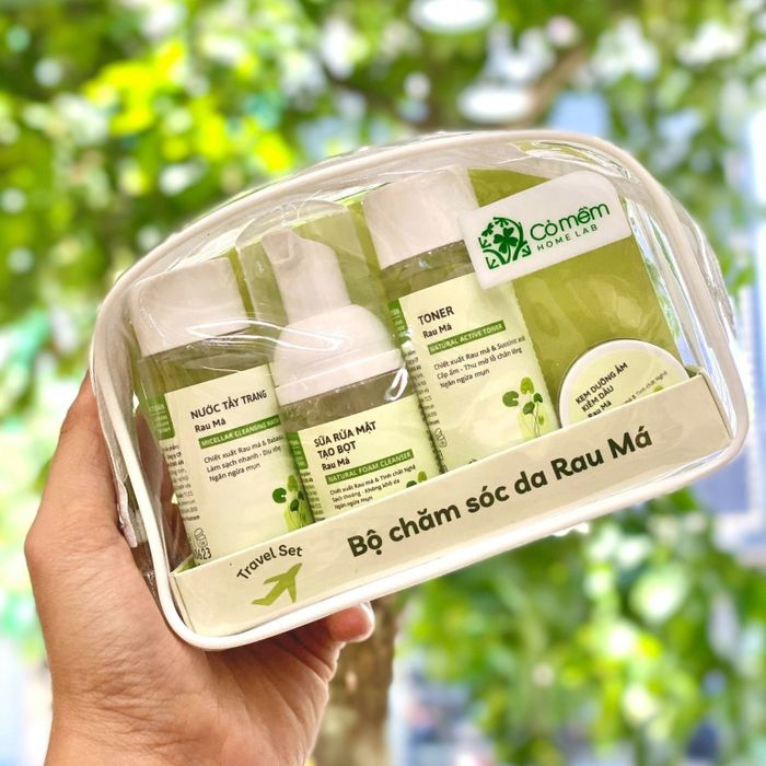 Bộ sưu tập sản phẩm thiên nhiên tại Cỏ Mềm HomeLab
