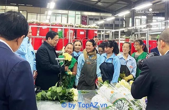 Điểm đến lý tưởng đặt hoa khai trương chất lượng tại Gò Vấp
