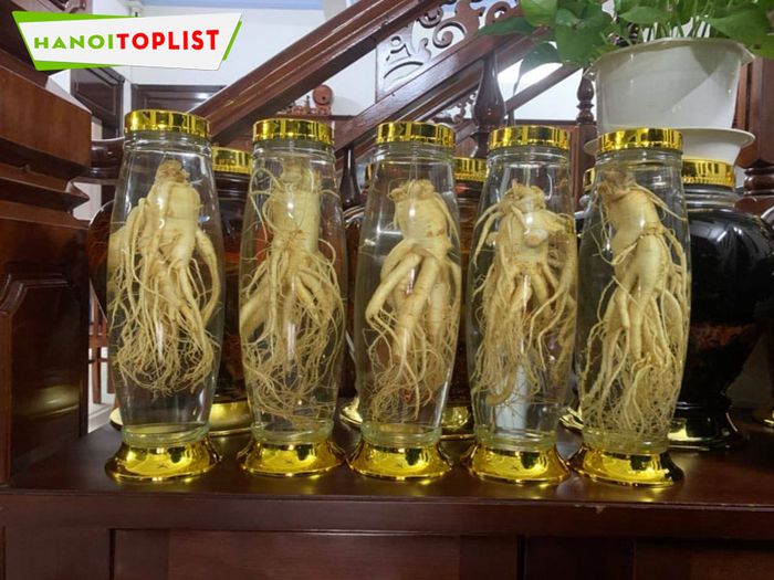Chai Lọ Thủy Tinh Inest Glass - Thiên đường bình ngâm rượu cao cấp - Mytour