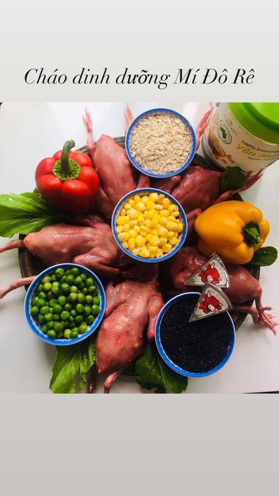Hình ảnh cháo dinh dưỡng tại Mí Đô Rê