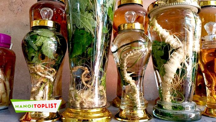Sứ Thủy Tinh - Địa chỉ vàng cho bình ngâm rượu chất lượng - Mytour