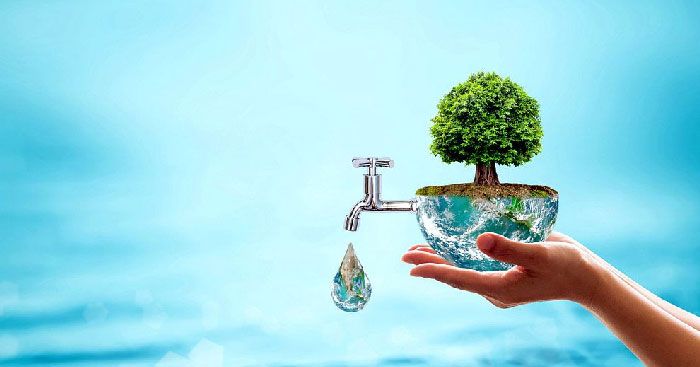 Hình ảnh minh họa ấn tượng về sự tương phản giữa nước mặn và nước ngọt (Nguồn: Internet)