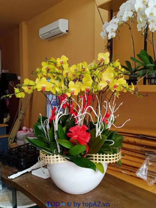 Địa chỉ vàng đặt hoa khai trương chất lượng tại Q. Gò Vấp