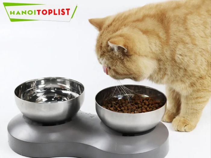 peti-pet-shop-spa-Mytour