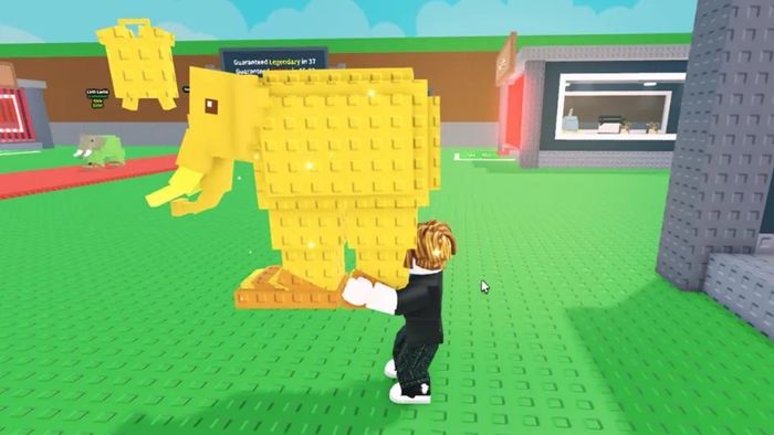 Bí kíp nhập mã Code Steal A Brainrot đúng cách