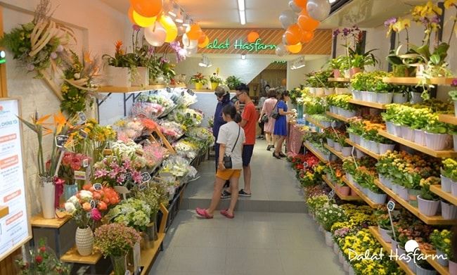 Dalat Hasfarm - Thiên đường hoa tươi Quận 3