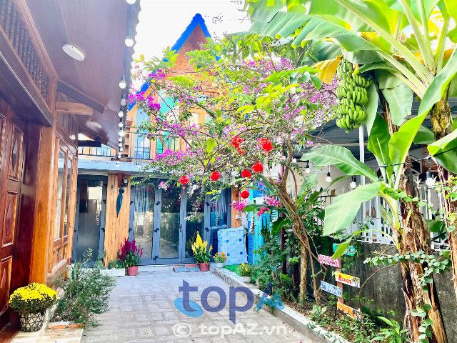 Núp Homestay Vũng Tàu - Ốc đảo bình yên giữa lòng phố biển