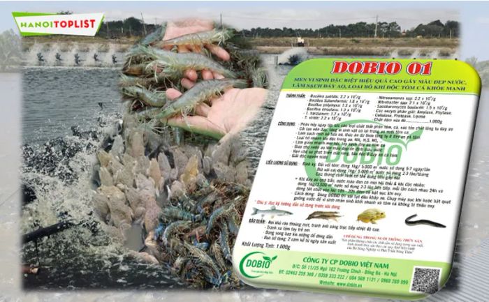 dopa-trung-tam-cong-nghe-thuy-san-hang-dau-Mytour
