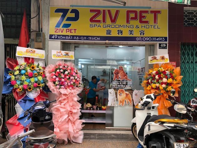 Ziv Pet Spa - Không gian thư giãn hoàn hảo cho thú cưng
