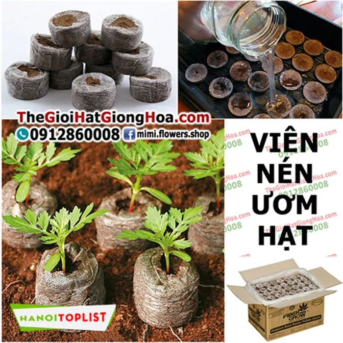 cua-hang-vat-tu-nong-nghiep-ha-noi-the-gioi-hat-giong-hoa-uy-tin