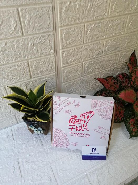 Hình ảnh sản phẩm nổi bật của Công ty Bao bì Giấy Phương Việt