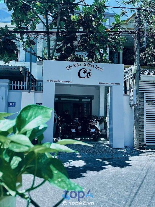 Cỏ Spa - Viên ngọc thư giãn giữa lòng TP. Bà Rịa