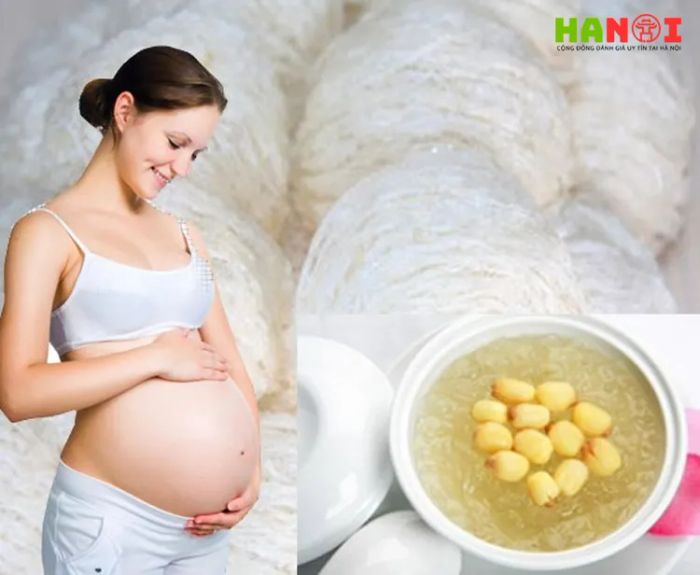 Khám phá những lợi ích vàng của yến sào Vạn Xuân đối với sức khỏe toàn diện