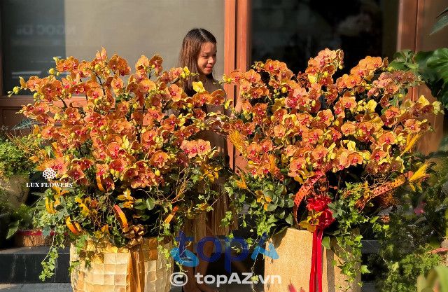 Gợi ý địa chỉ mua lan hồ điệp chất lượng tại khu vực quận Ba Đình