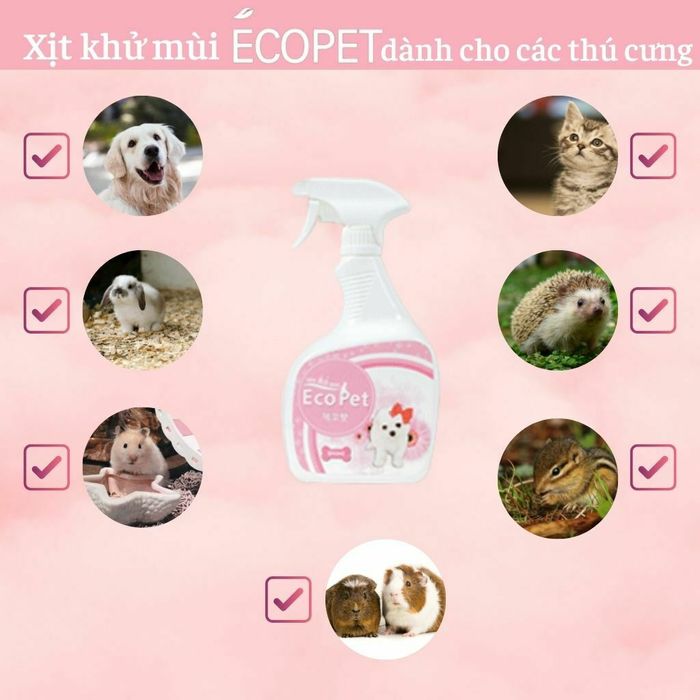 Hình ảnh thực tế xịt khử mùi ECOPET cho thú cưng