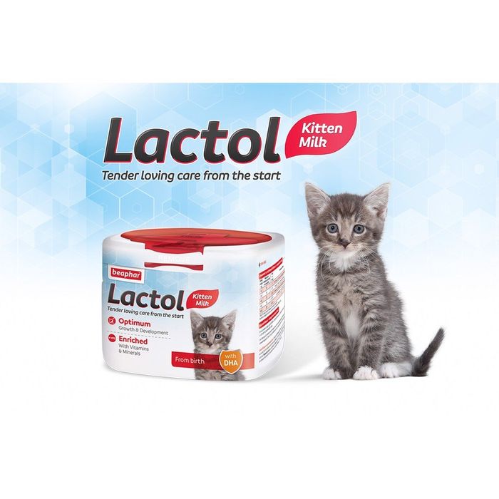 Hình ảnh sữa Beaphar Lactol Kitten Milk - Sản phẩm vàng cho sự phát triển toàn diện của mèo con