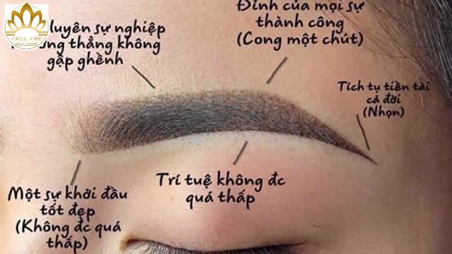 Địa Chỉ Vàng Cho Chân Mày Phong Thủy Tại TP.HCM