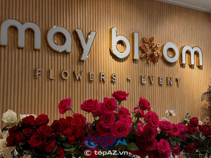 May Bloom - Điểm hẹn hoa viếng thanh lịch bậc nhất TP Rạch Giá