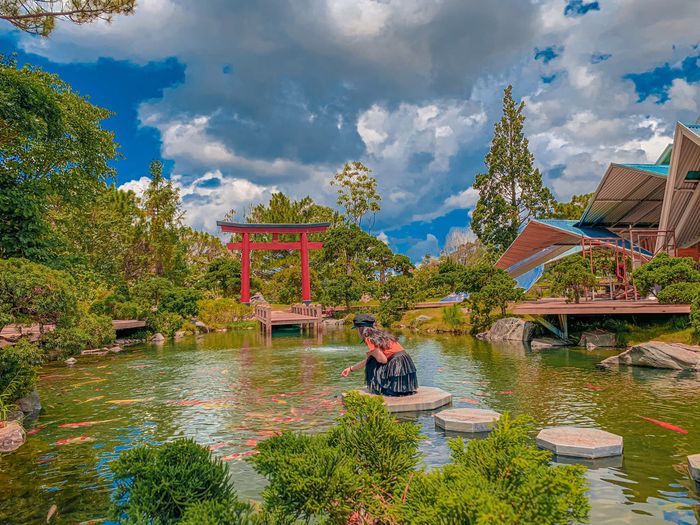 Rừng Lá Phong mùa thay lá - bức tranh thiên nhiên rực rỡ sắc màu