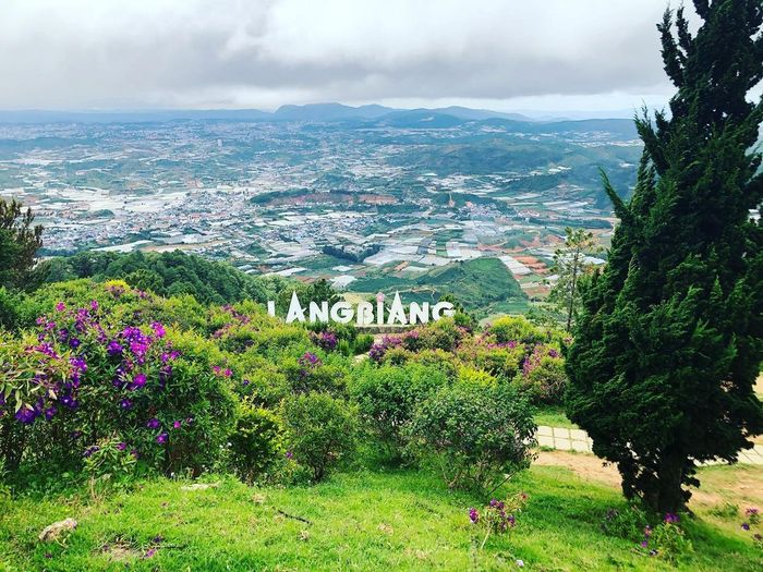 Khoảnh khắc bình minh trên đỉnh Langbiang - khi mây trời quyện cùng đất núi