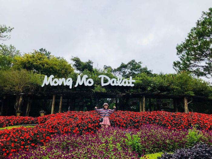 Khoảnh khắc mộng mơ trên Đồi Mộng Mơ - nơi thiên nhiên họa nên cổ tích