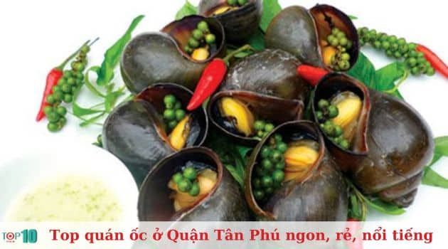 Quán Ốc Ngon 43 - Thiên đường ốc đa phong cách tại Tân Phú