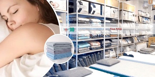Vua Nệm - Bậc thầy của những giấc ngủ vàng