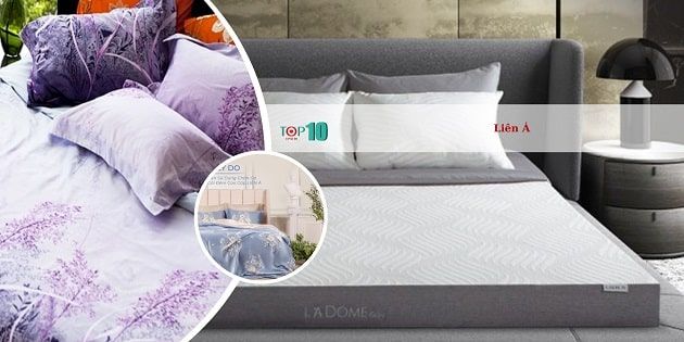 Liên Á - Đẳng cấp giấc ngủ Việt