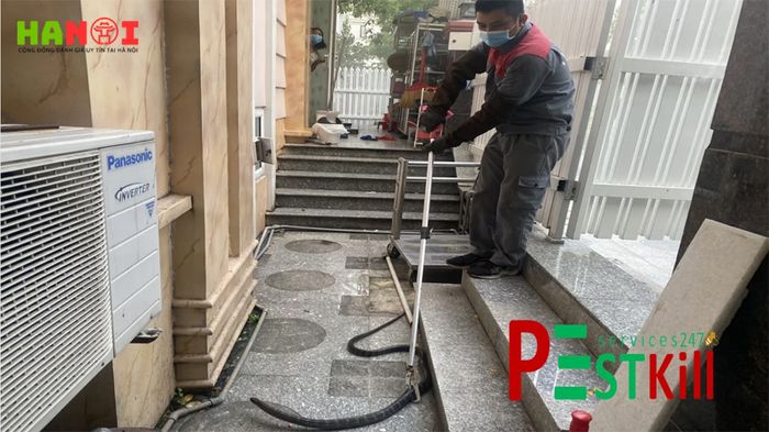 pest-kill-247-pioneer-in-snake-control-service-in-vietnam
