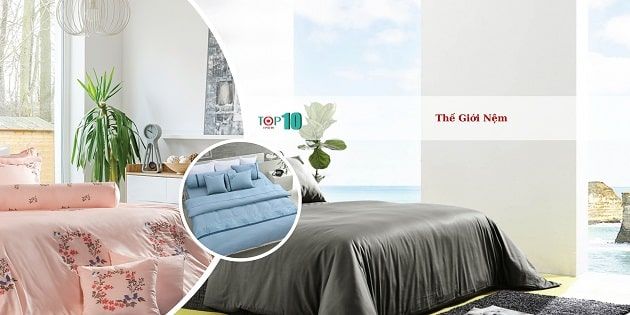 Thế Giới Nệm - Nơi giấc ngủ trở thành nghệ thuật