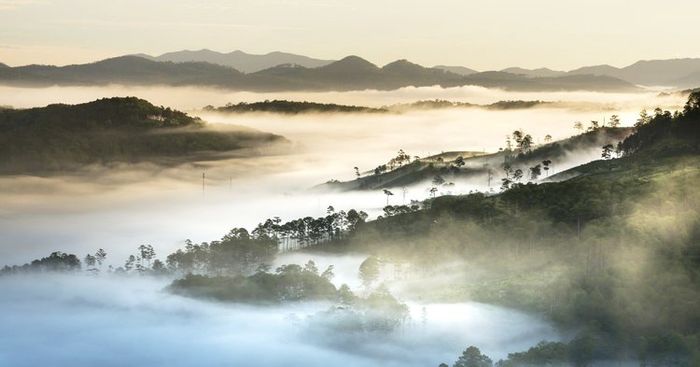 Đồi Thiên Phúc Đức trong sương sớm - nơi đất trời giao hòa