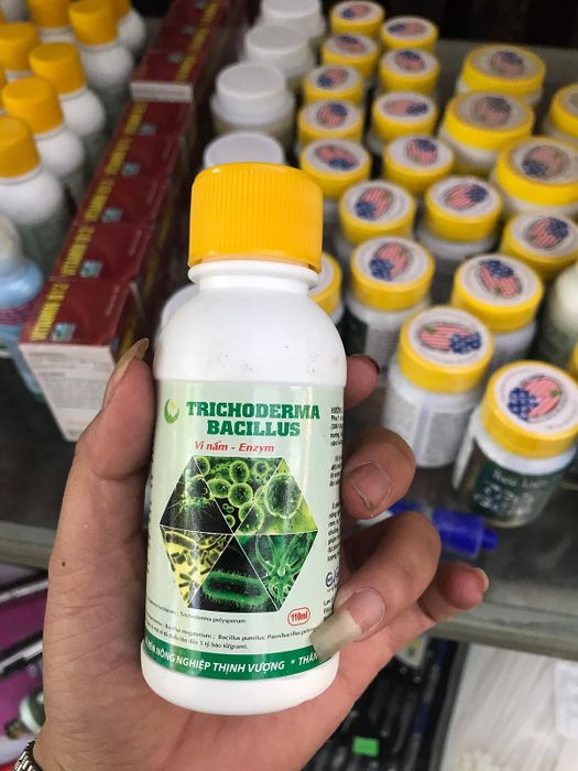 Hình ảnh minh họa Nấm Trichoderma dạng nước (ảnh 2)