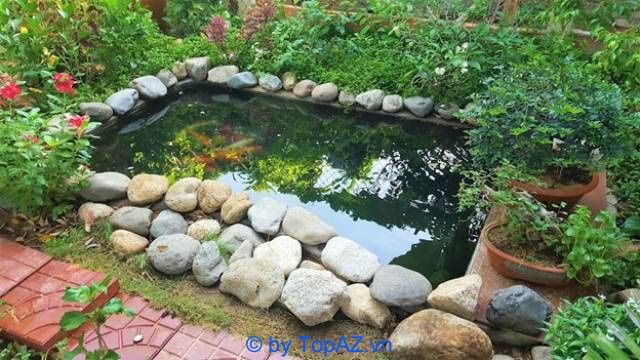 Chuyên gia thiết kế và thi công hồ cá Koi chuyên nghiệp tại TP.HCM