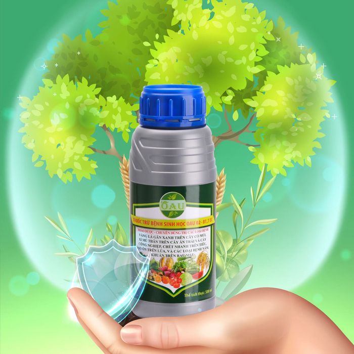 Hình ảnh minh họa: Thuốc trừ nấm bệnh sinh học OAU 02 - 81,7EC, giải pháp an toàn cho cây trồng