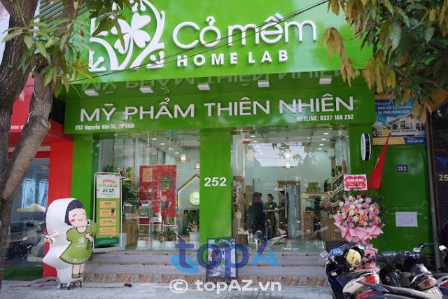 Cỏ Mềm Vinh - Nét đẹp thuần khiết từ thiên nhiên