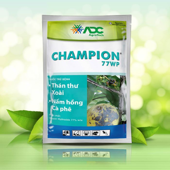 Ảnh minh họa hiệu quả sử dụng Champion 77WP