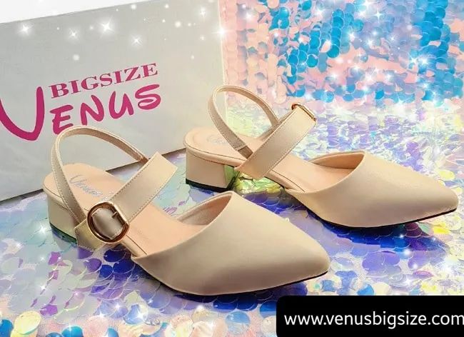 Xu hướng thời trang nổi bật tại Venus BigSize Fashion