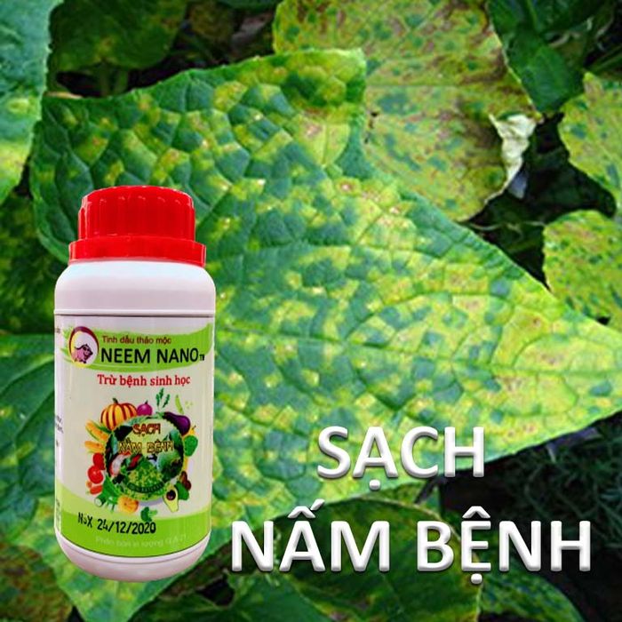 Hình ảnh minh họa thuốc trừ nấm NEEM NANO
