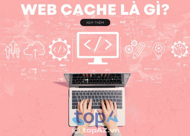 Wiwi Agency - Đơn vị Thiết kế Web chuyên nghiệp tại TP.HCM