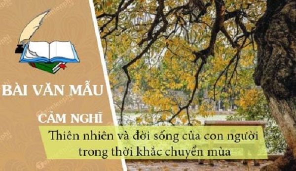 Tranh minh họa 1: Cảnh sắc mùa thu với hàng cây thay lá (Nguồn: Sưu tầm)