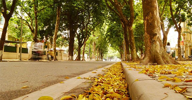 Tác phẩm nghệ thuật minh họa số 1 - Khoảnh khắc giao mùa hạ thu (Nguồn: Bộ sưu tập nhiếp ảnh đương đại)