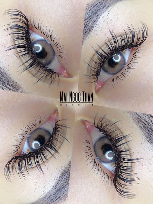 Bộ sưu tập hình ảnh mi nối nghệ thuật từ Mai Ngọc Trần Beauty